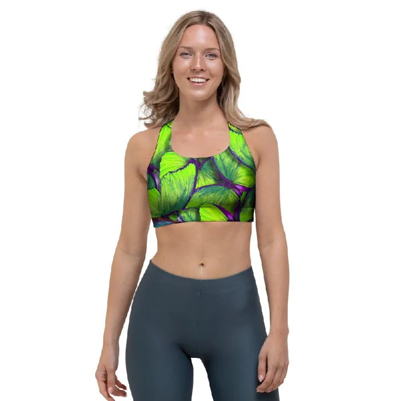 Green And Blue Butterfly Print Sports Bra Sexy Mesh Bra